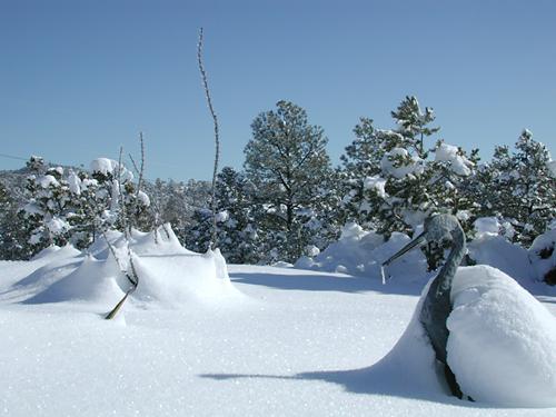 picture of record snow in canada de los alamos