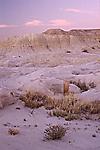 Denazin Wilderness