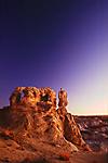 picture The Sentinel