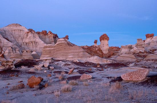 Bisti Image "By The Window"