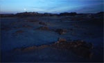 photo of The Dali Area