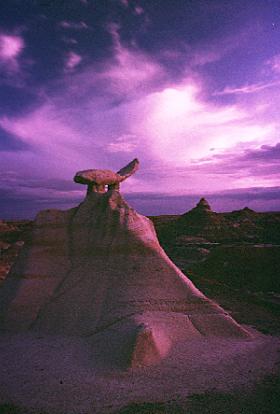  The Saddle