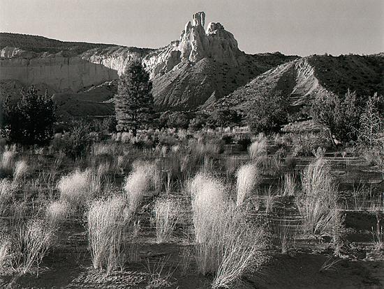 image  of bisti badlands