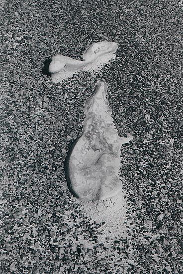 image  of bisti badlands