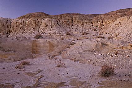 Twilight colors in the  Denazin Wilderness