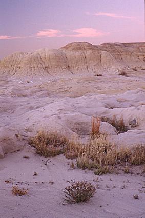 Twilight in the Denazin Wilderness