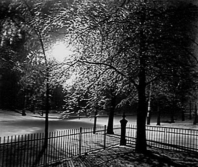 black and white image by william little