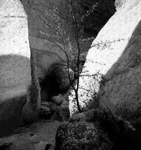 peralta canyon #207