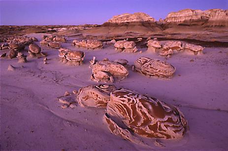 The Cracked Eggs - Fine Prints