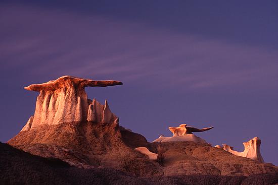 Stone Willy - Fine Prints