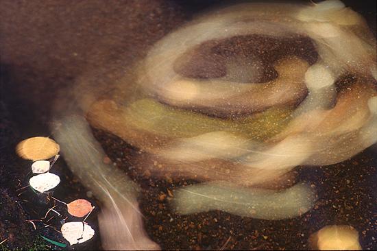 Fall Twirl - Fine Prints