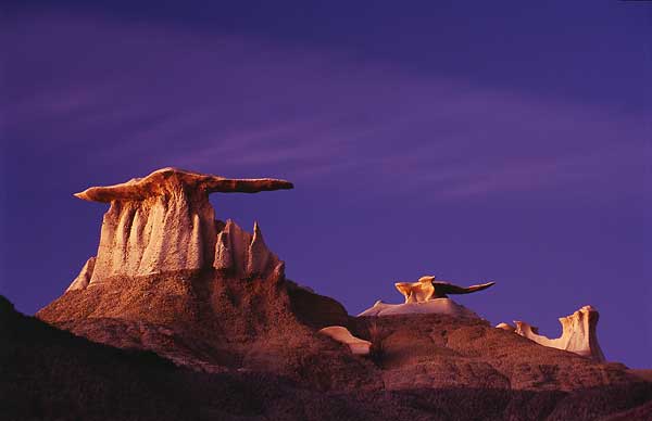 stone willy in the  bisti badlands