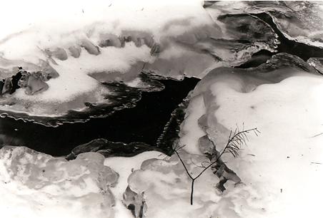 picture of ice in dalton canyon