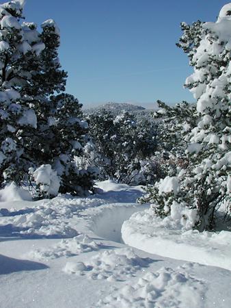 snow near santa fe