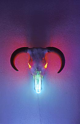 photo of neon skull