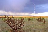 Desert angel  lightning picture