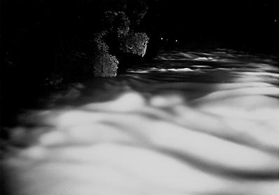 negative 2031, william  parker little