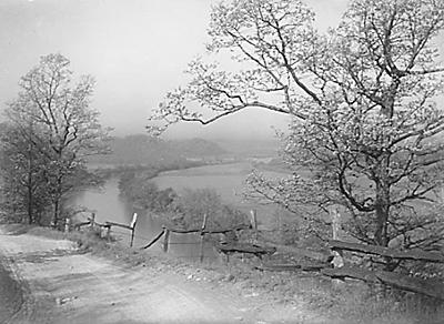 photo by william parker little "Negative #808"