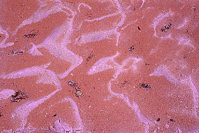 image: buckskin gulch