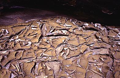 image: buckskin gulch