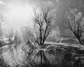 picture of mercerd river