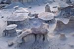 bisti_2/figure_th.jpg