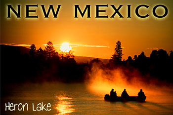 Salmon Snaggers - Photo Magnet - Magnets