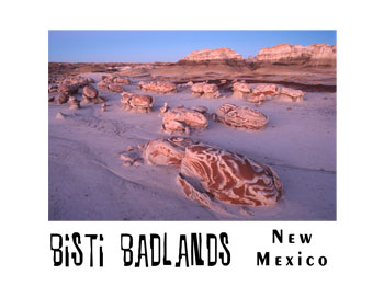 The Cracked Eggs - Photo Magnet - Magnets